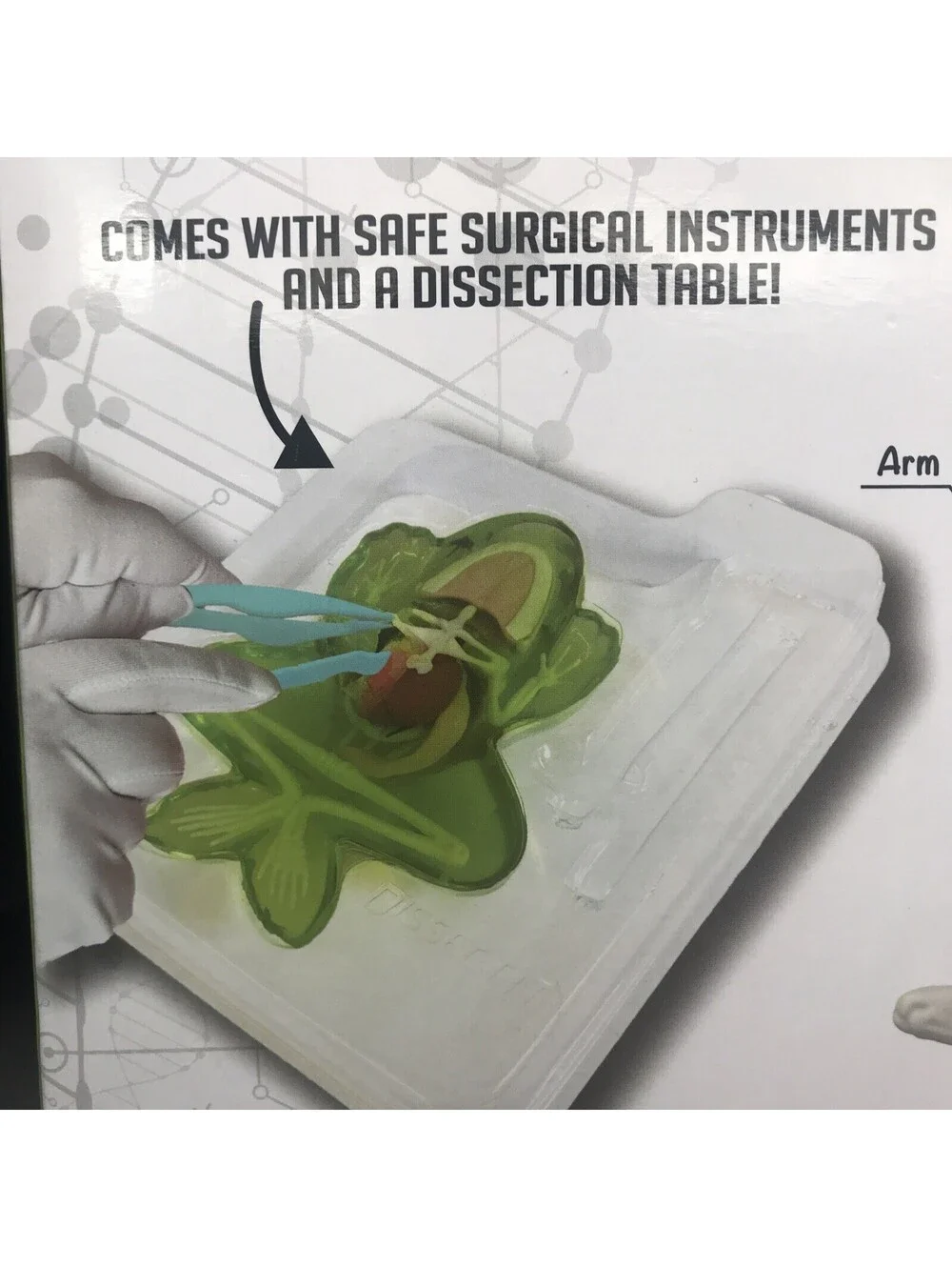 Dissect-It FROG Dissection Kit STEM Science Homeschool Simulated Synthetic Lab